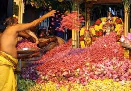Pushpa Yagam to Save the Mother Earth from Earth Quake!