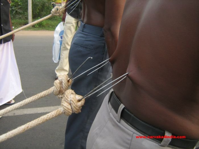 Pulling a Chariot with Hooks in the Back