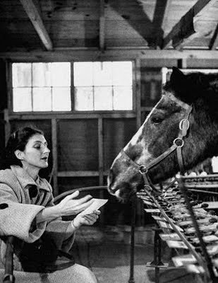 Abraham Kovoor’s Case Diary: Lady Wonder: A Mind-Reading Horse!
