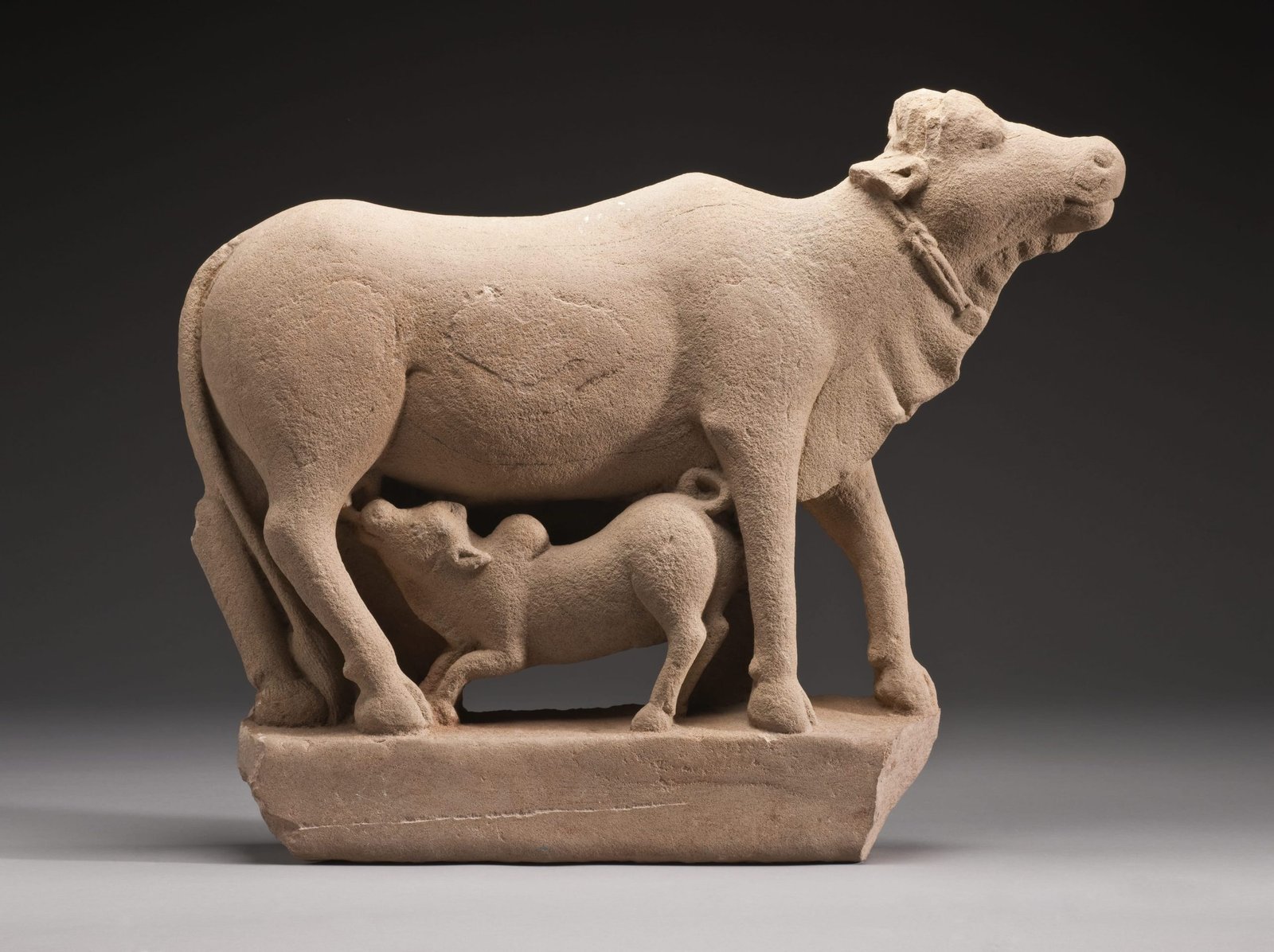 The Holy Cow
