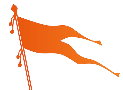 Should RSS Volunteers be permitted to join Government Services?