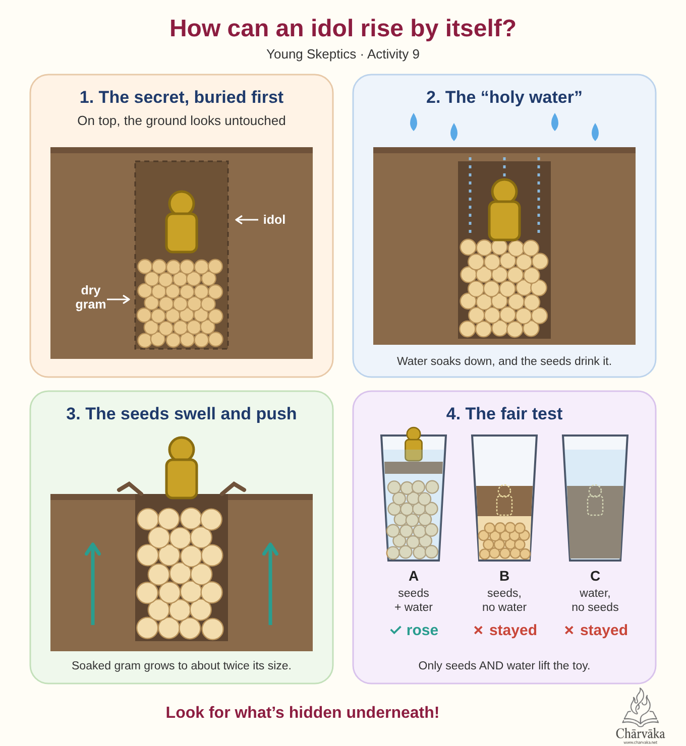 How swelling seeds lift an idol